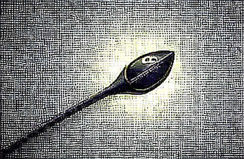 The Industry Index That Just Destroyed the 'Best Blockchain' Narrative