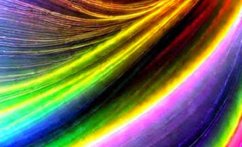 The Blob Bubble: Why Post-Dencun L2 Euphoria Masks a Two-Year Time Bomb